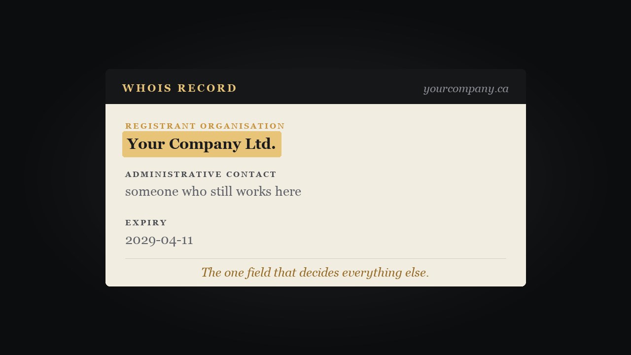 A WHOIS record card. The registrant organisation field is highlighted in gold and reads Your Company Ltd. Beneath it the administrative contact reads someone who still works here, and the expiry date reads 2029-04-11.